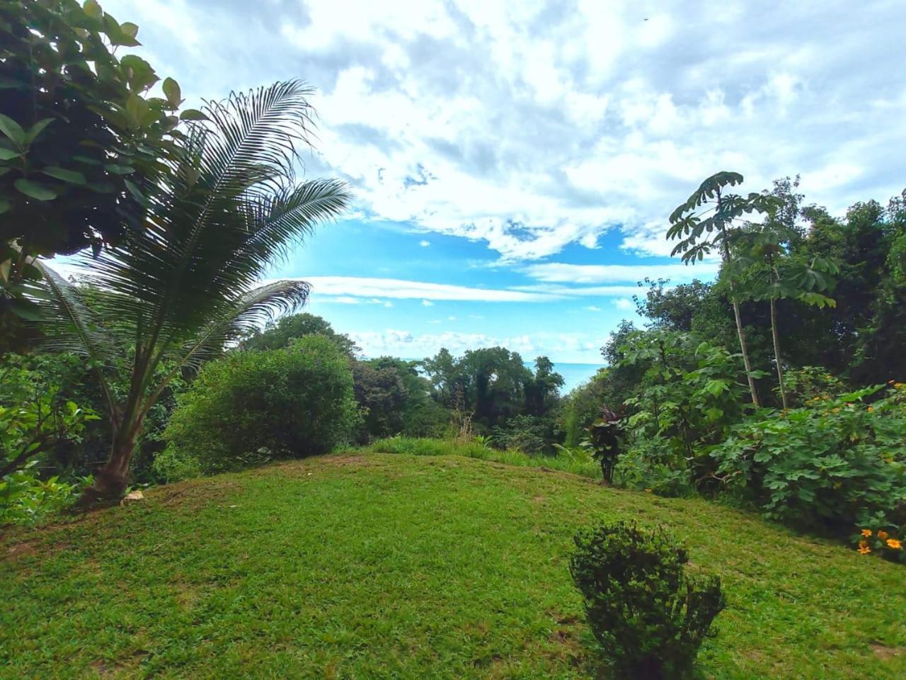 Corcovado Green Cabin & House Drake Bay Luaran gambar