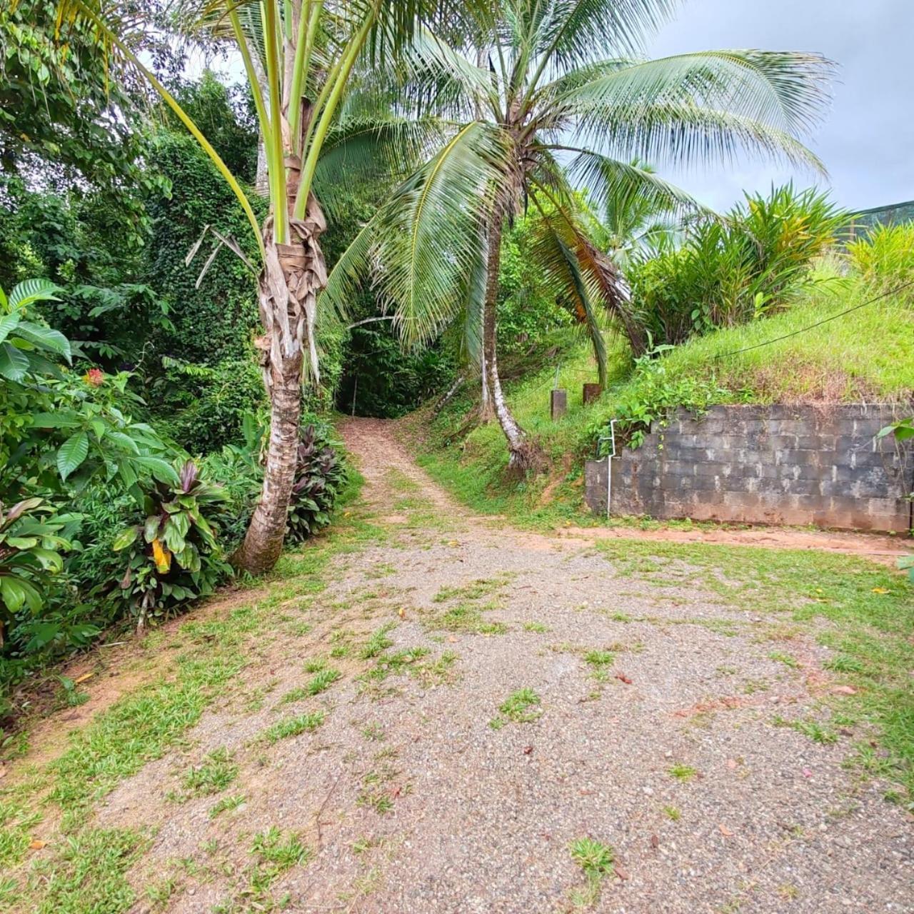 Corcovado Green Cabin & House Drake Bay Luaran gambar