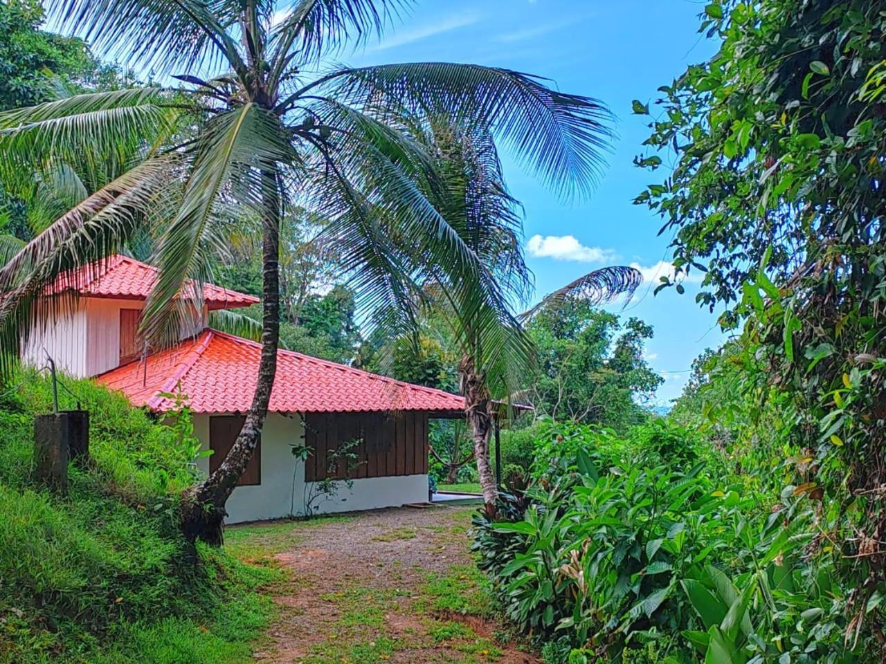 Corcovado Green Cabin & House Drake Bay Luaran gambar