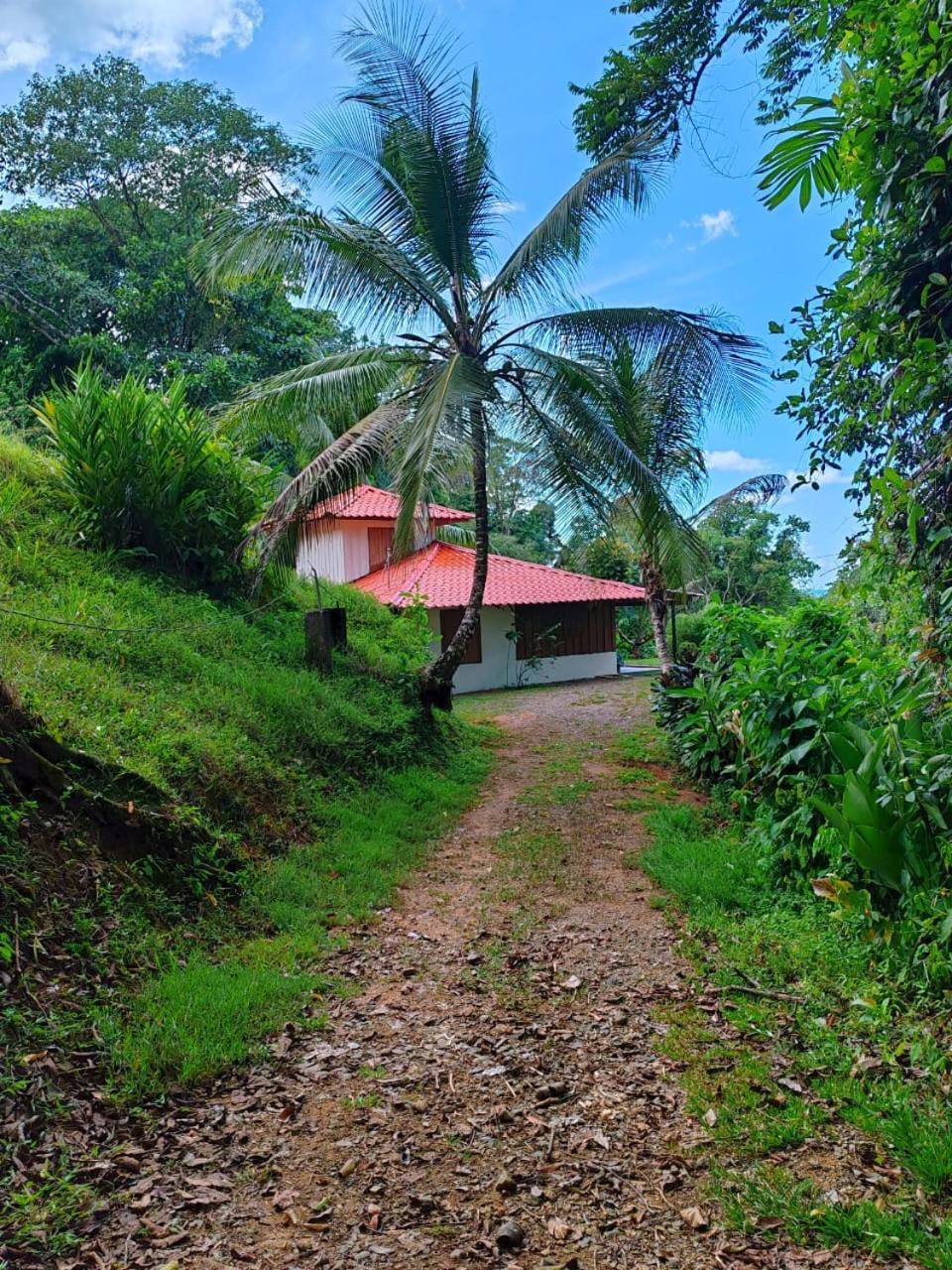 Corcovado Green Cabin & House Drake Bay Luaran gambar